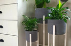 Luno Basket Pot