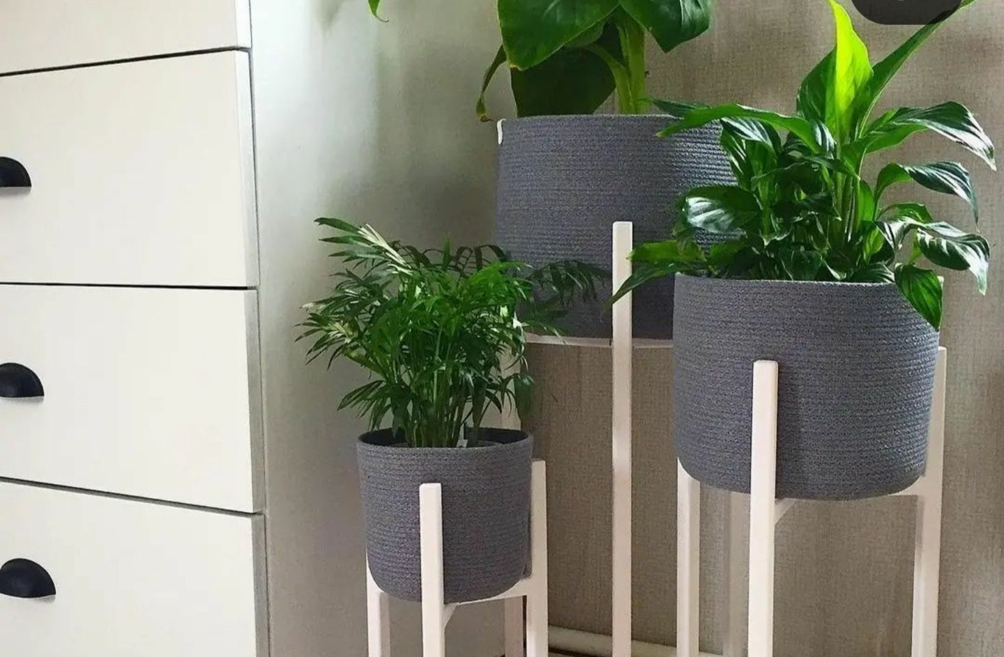 Luno Basket Pot