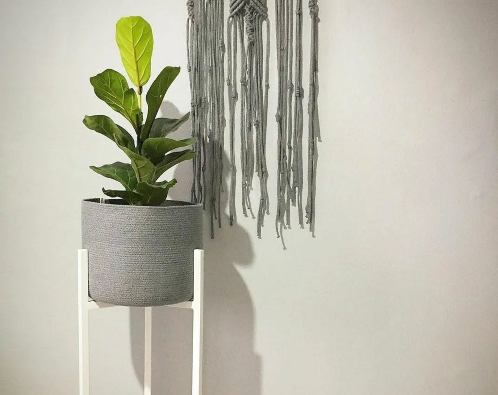 Luno Basket Pot