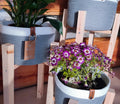 Jerry Plant Pot