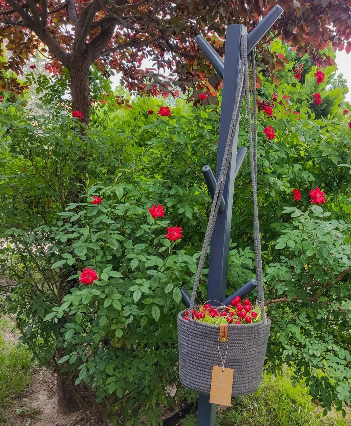Lumae Hanging Basket
