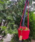 Lumo Hanging Basket