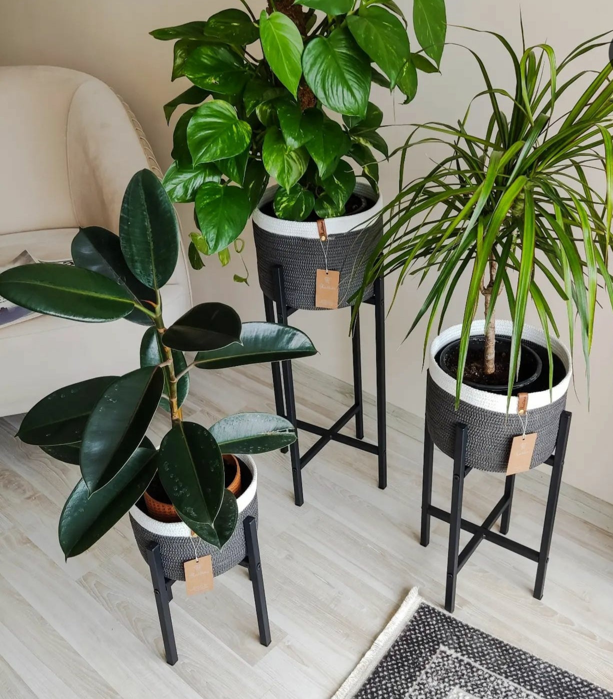 Mia Plant Pot