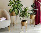 Serra Plant Pot