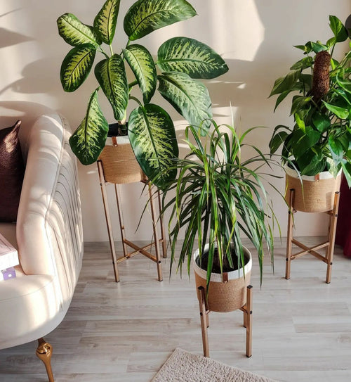 Java Plant Pot