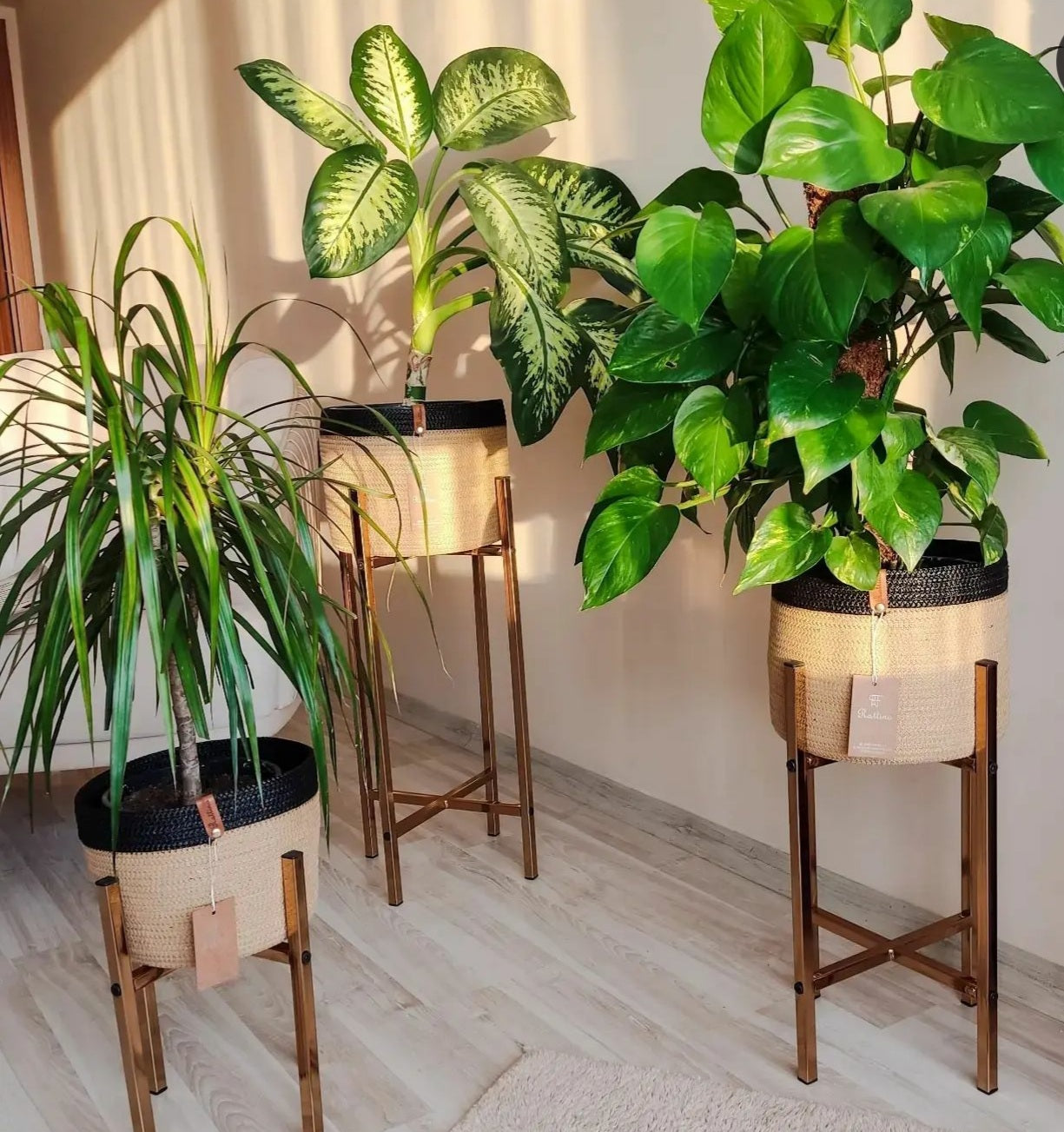 Juana Plant Pot