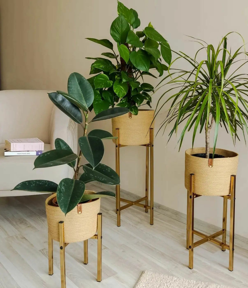 Serra Plant Pot