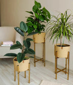 Serra Plant Pot