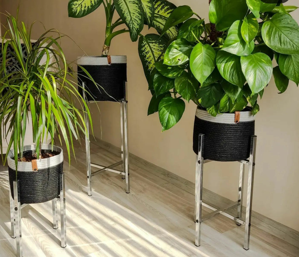 Juaua Plant Pot