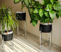 Juaua Plant Pot