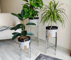 Julia Plant Pot