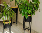 Haya Plant Pot