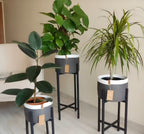 Mia Plant Pot
