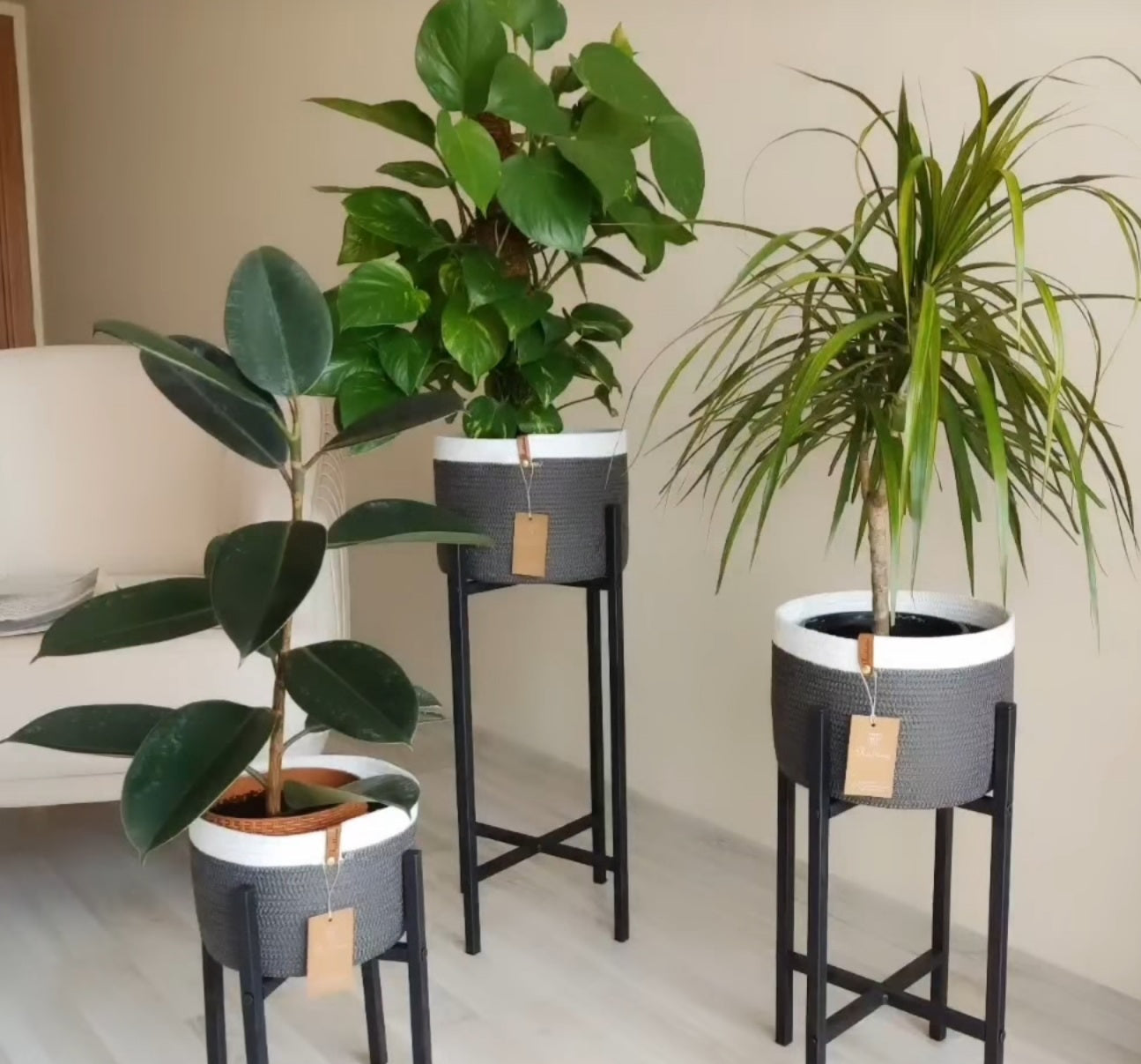 Mia Plant Pot