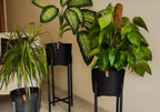 Juna Plant Pot