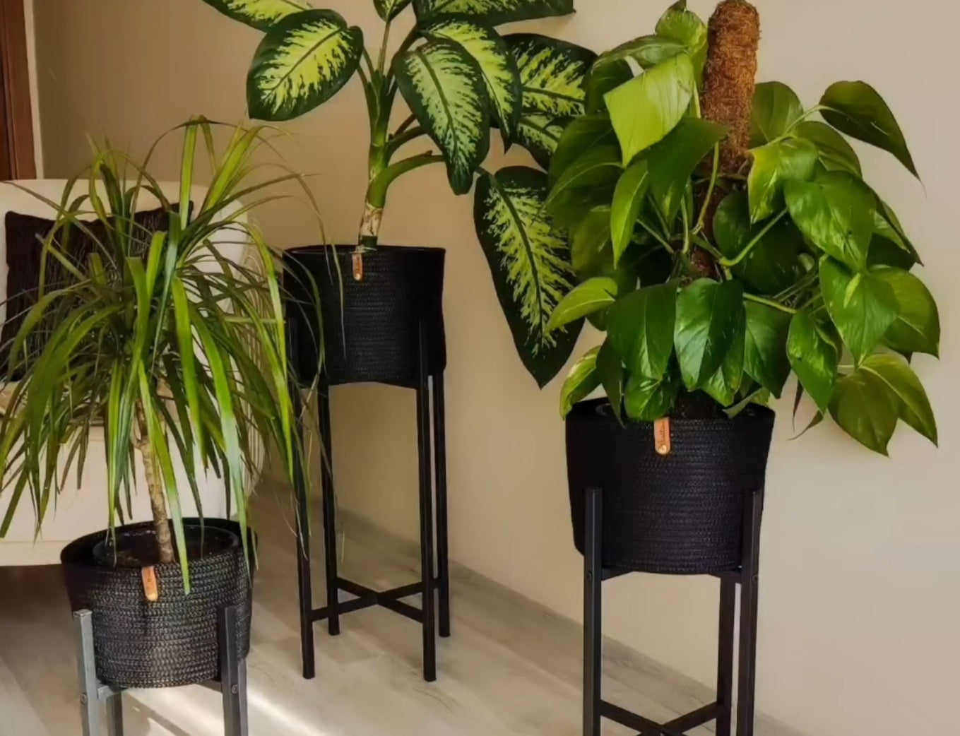 Juna Plant Pot