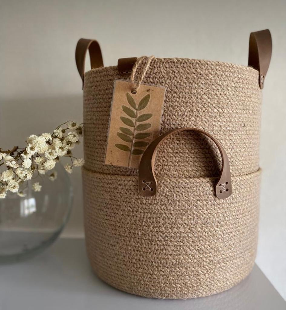 Zelo Basket