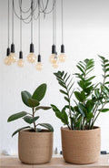 Javo Plant Pot