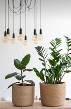 Javo Plant Pot