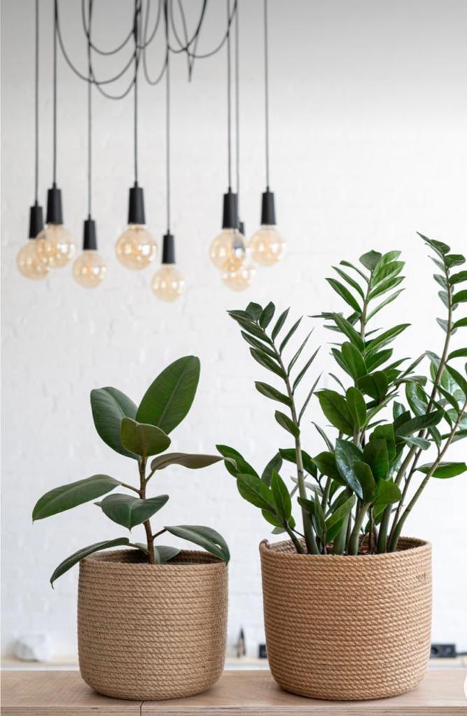 Mera Plant Pot