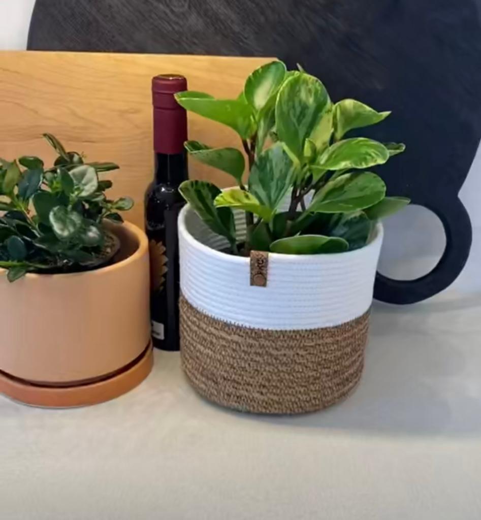 Jova Plant Pot