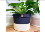 Lunoa Plant Pot