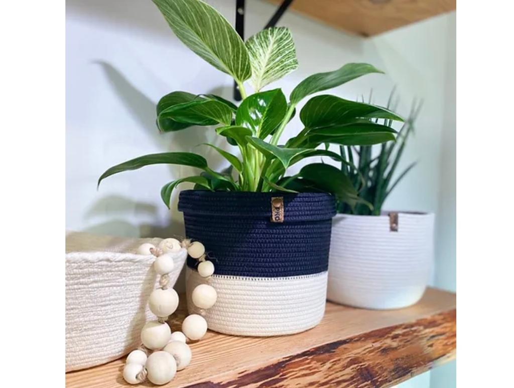 Lunoa Plant Pot