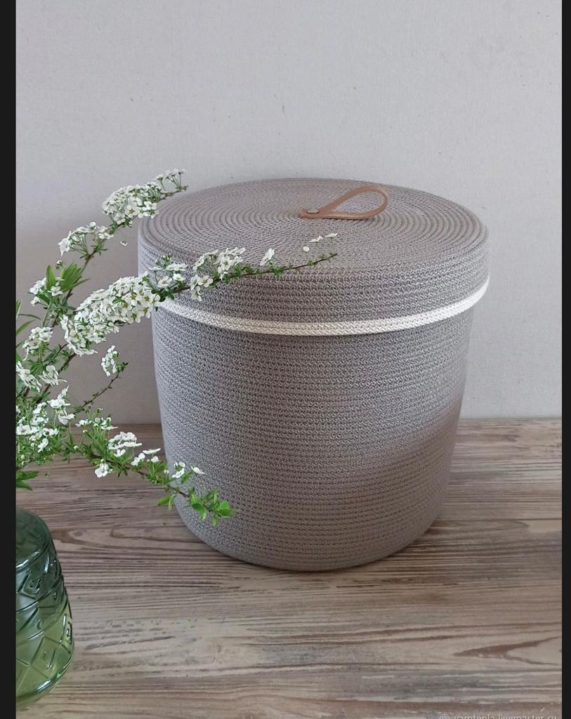 Xavo Box