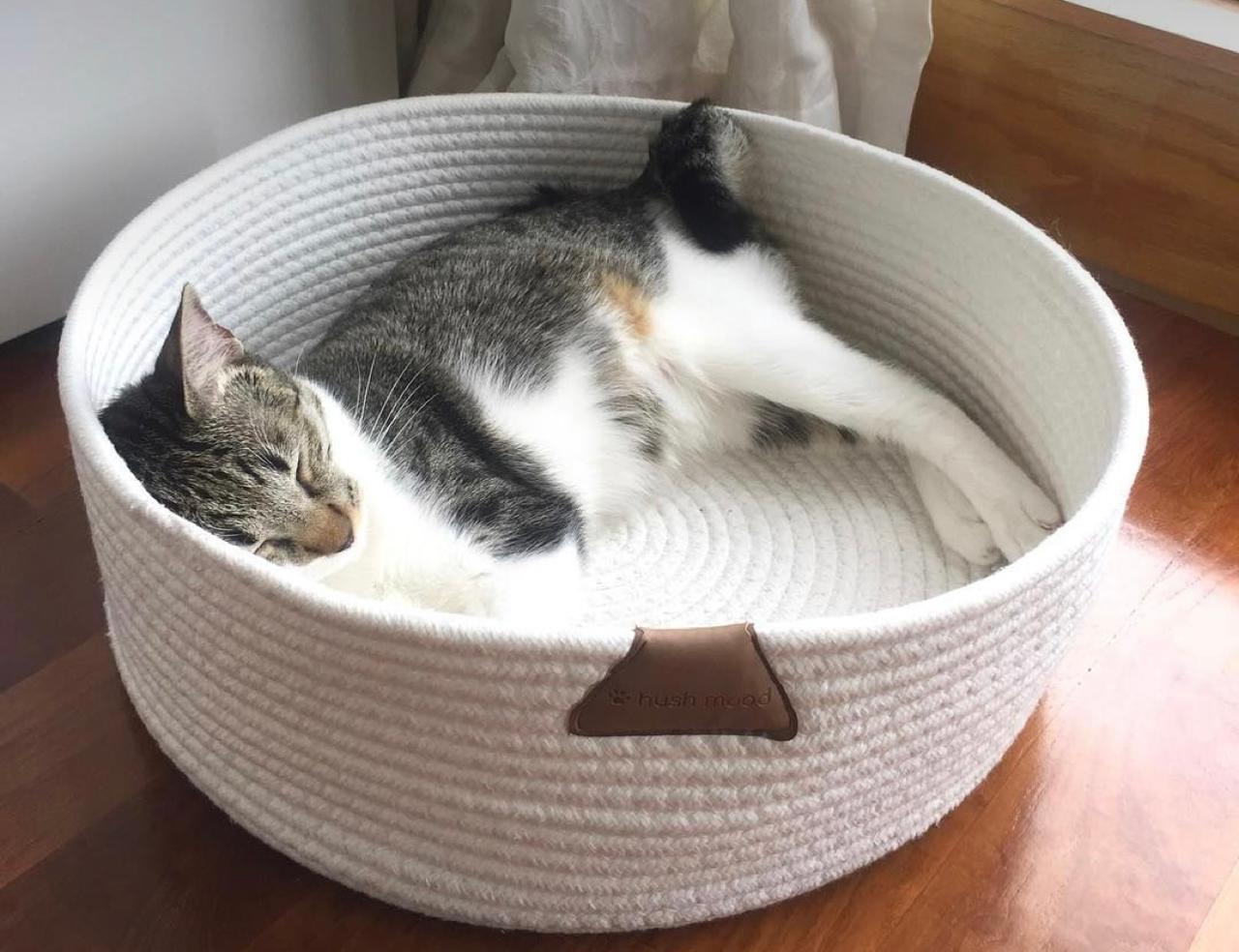 Luna Woven Pet Bed – Soft Nest