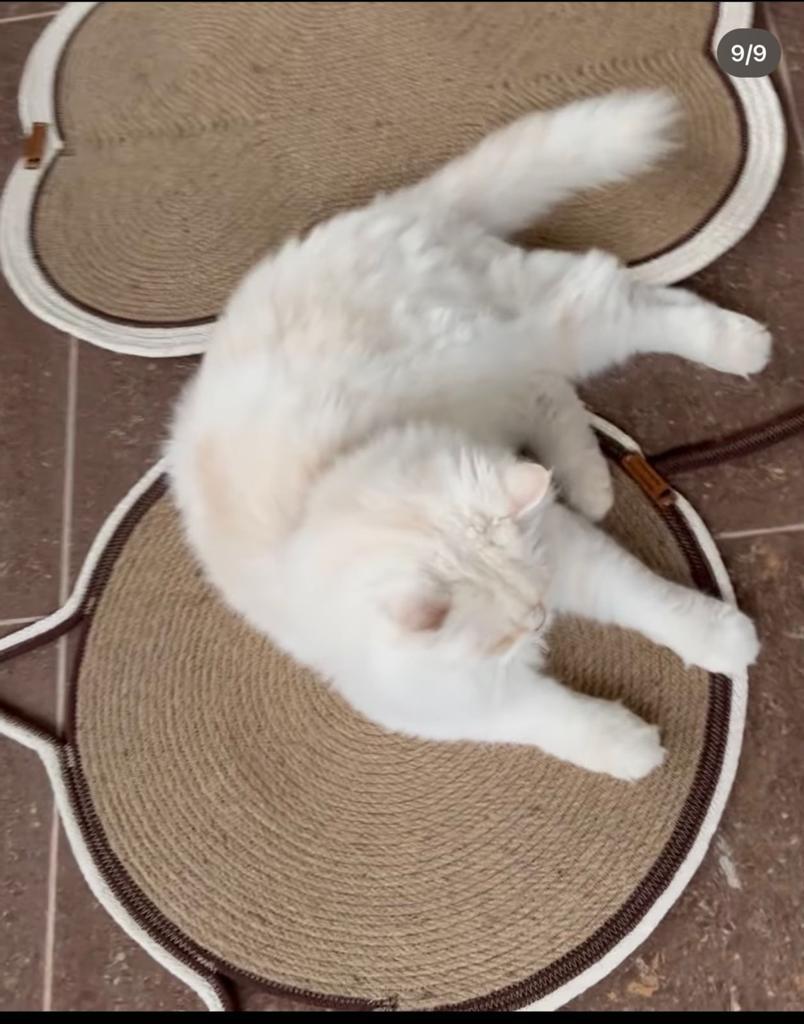 Zara Woven Pet Mat
