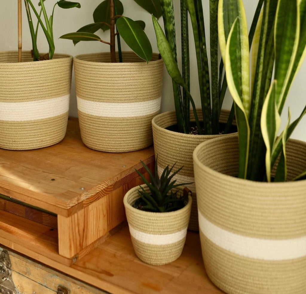 Liora Plant Pot