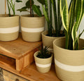 Liora Plant Pot
