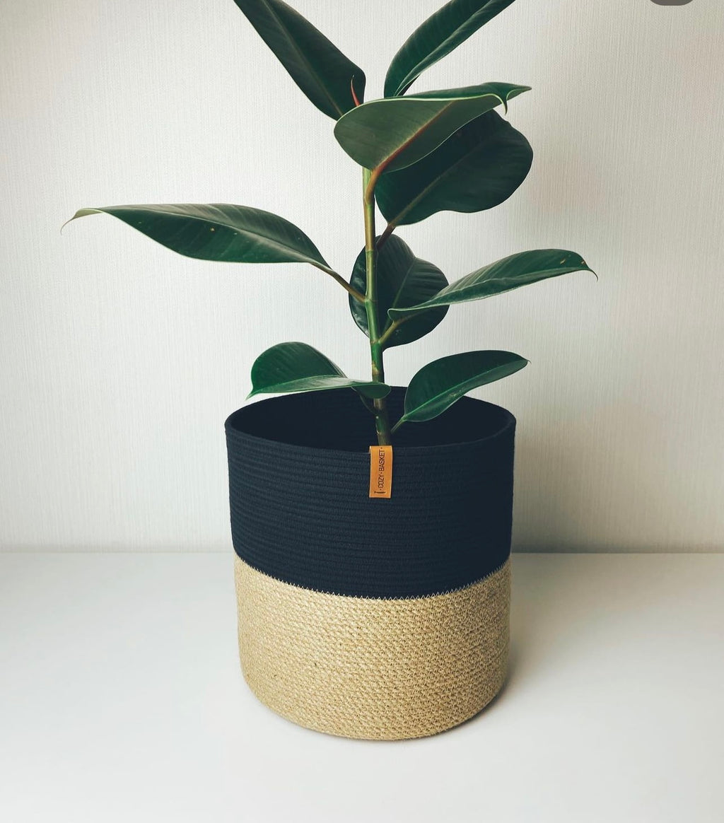 Lina Plant Pot