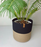 Lina Plant Pot