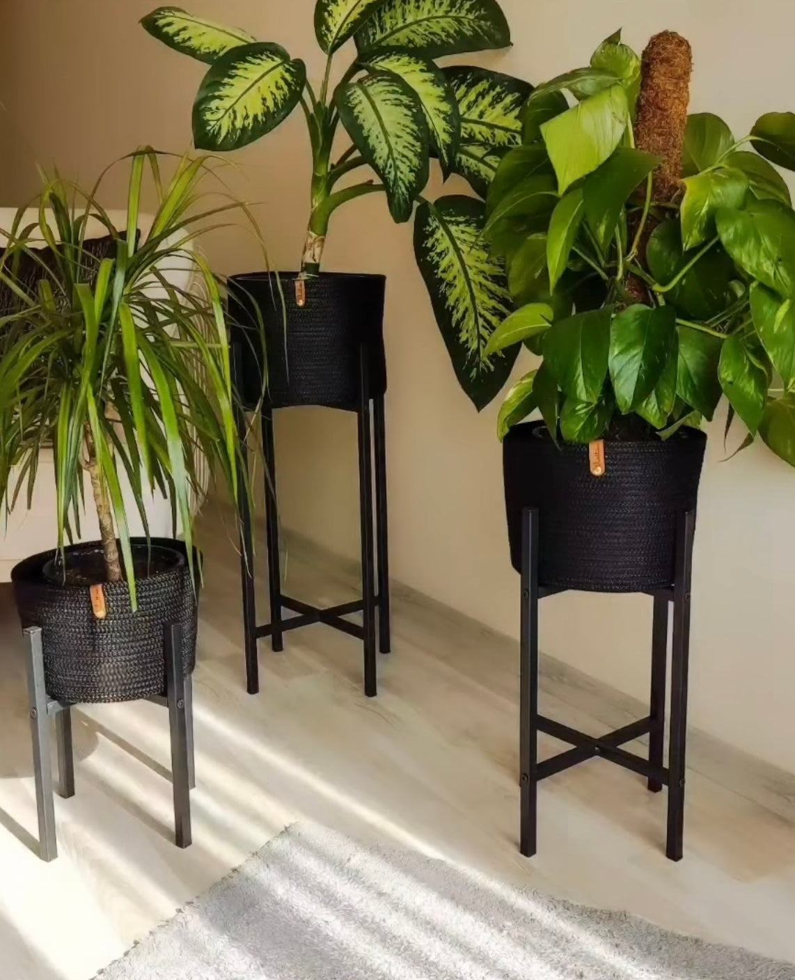 Juna Plant Pot
