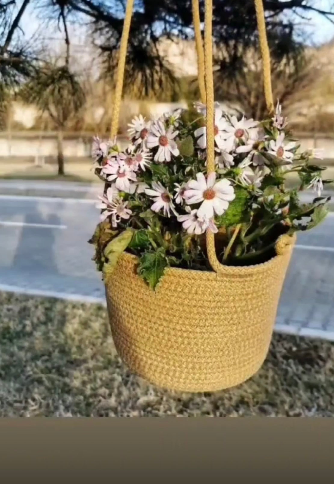 Luma Hanging Basket