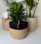 Lina Plant Pot