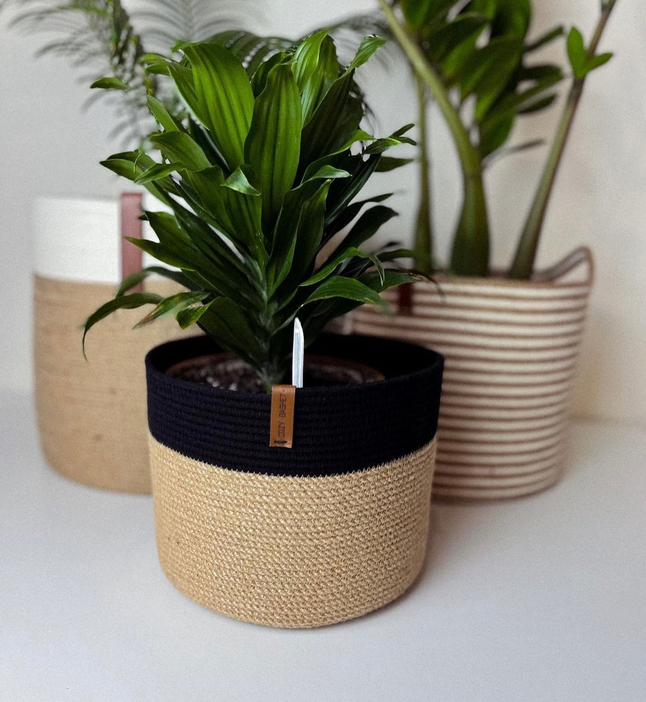 Lina Plant Pot