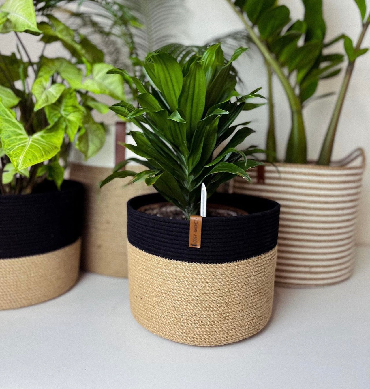 Lina Plant Pot