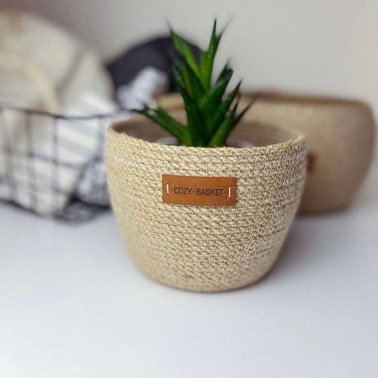 Juro Plant Pot