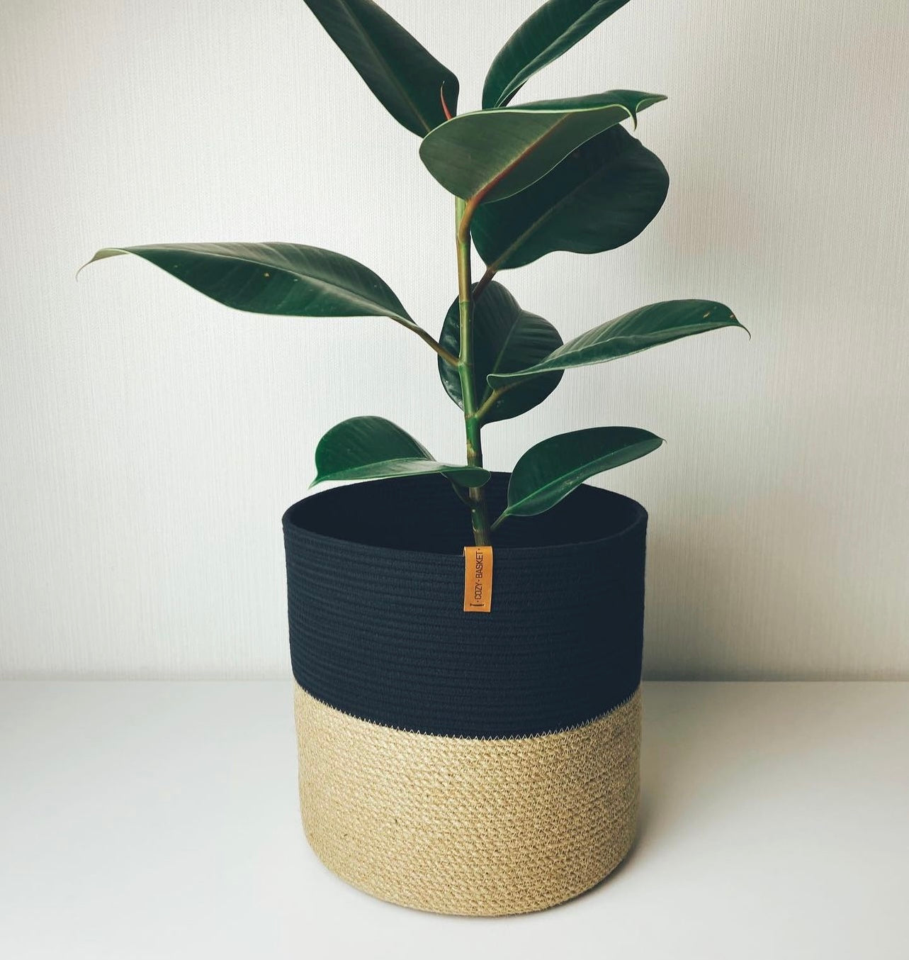 Lina Plant Pot