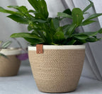 Juno Plant Pot
