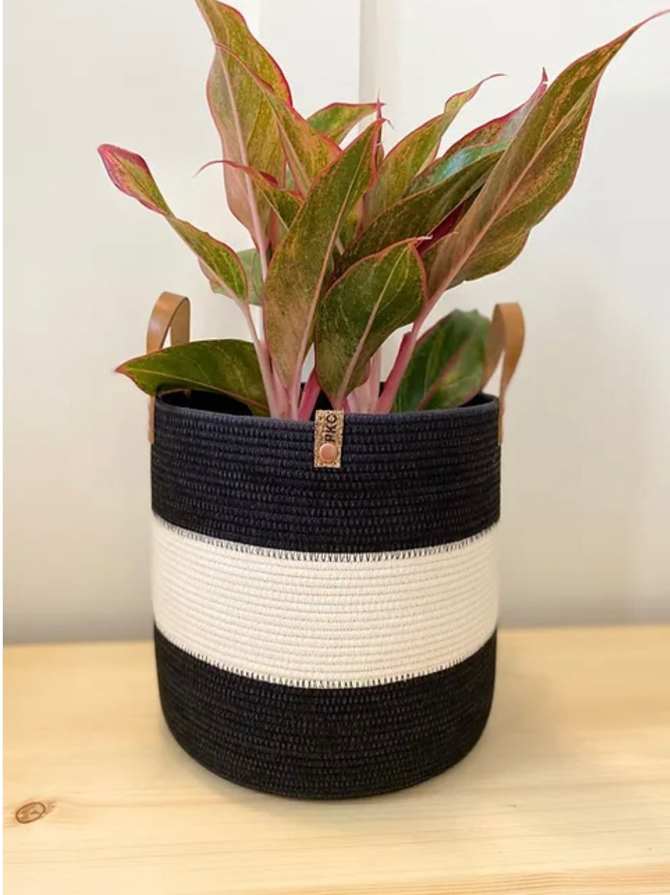Nola Plant Pot