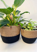 Zara Plant Pot