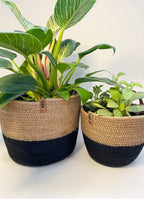 Zara Plant Pot