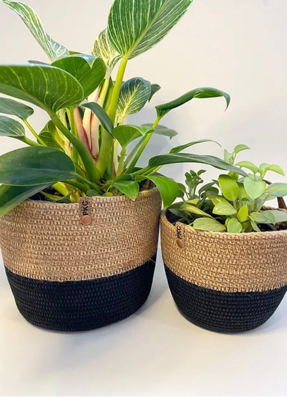 Zara Plant Pot