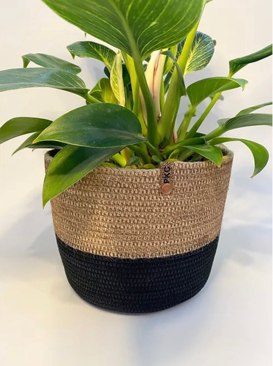 Zara Plant Pot