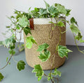 Solea Plant Pot