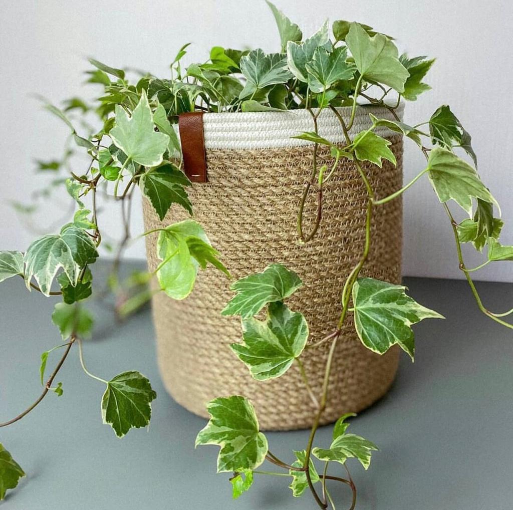 Solea Plant Pot