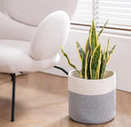 Lura Storage Basket